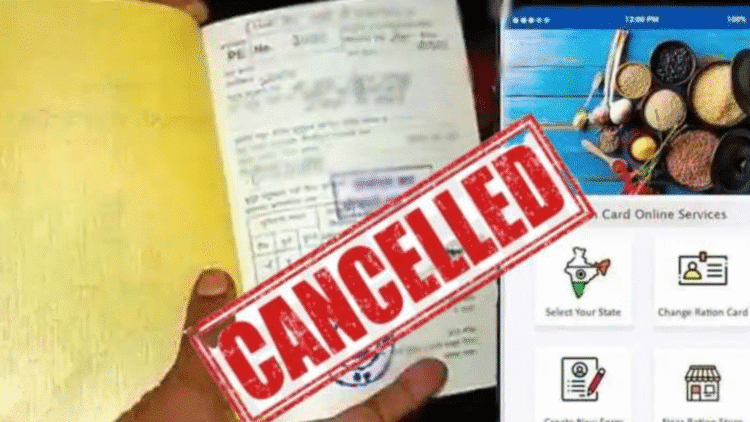 Untitled design 2025 10 31t153259.712