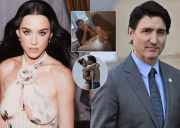 Untitled design (24)