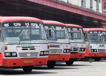 Untitled design (47)