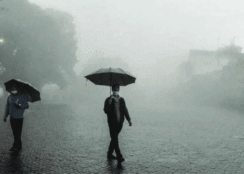 Untitled design (64)