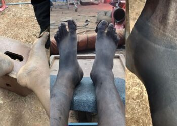 Untitled design (66)