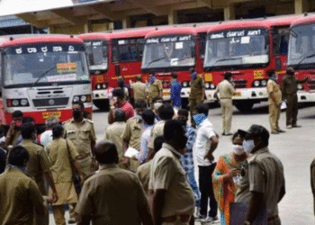 Untitled design (66)