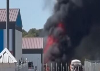 Untitled design (74)