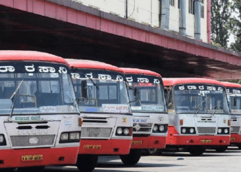 Untitled design (79)