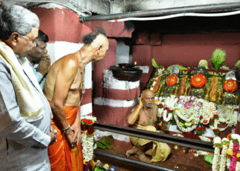 Untitled design (84)