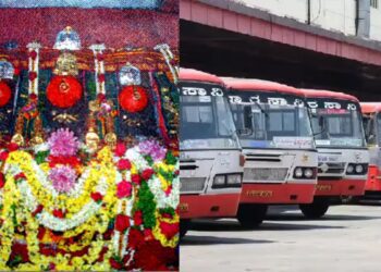 ಟ್ರಂಪ್ ಗೆ (19)