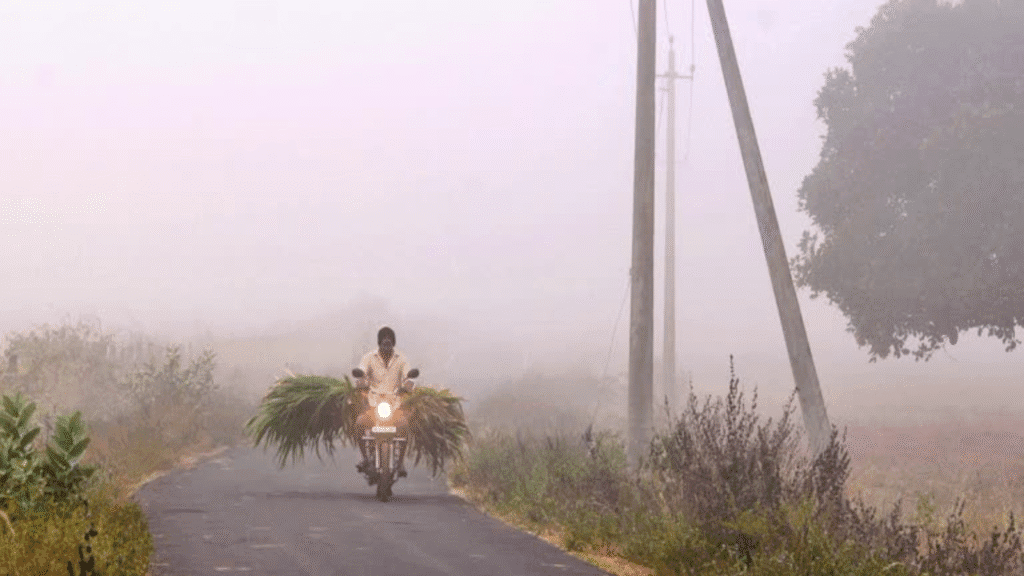 Untitled design (15)