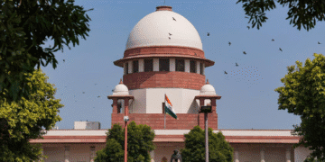 Untitled design (16)