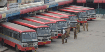 Untitled design (17)