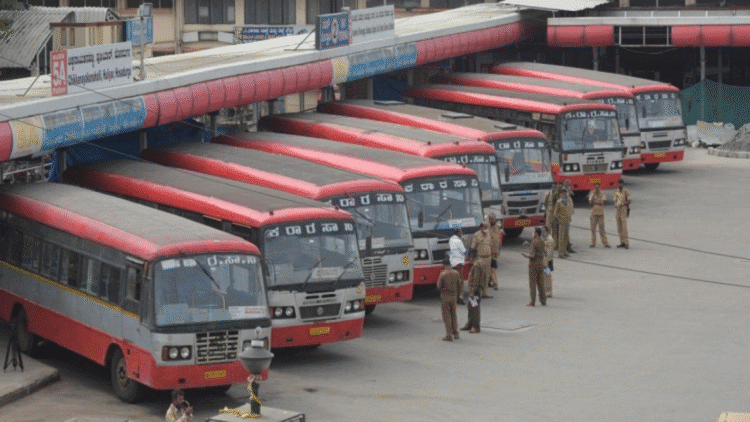 Untitled design (17)