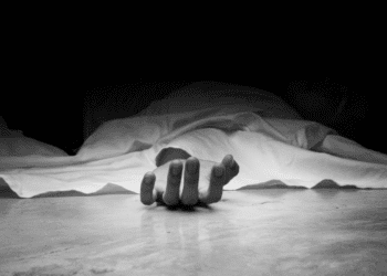 Untitled design (18)