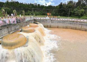 Untitled design (20)