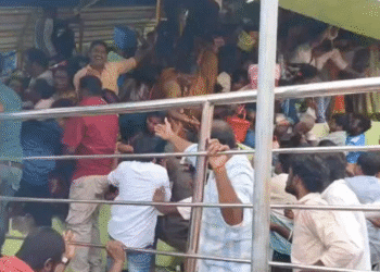 Untitled design 2025 11 01t125348.222