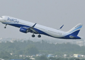 Untitled design 2025 11 01t191317.357