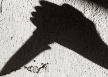 Untitled design 2025 11 01t222710.676