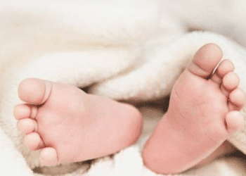 Untitled design 2025 11 04t232635.398