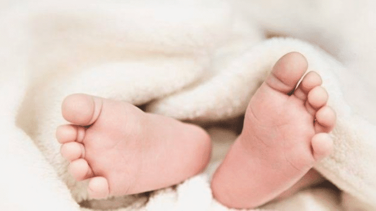 Untitled design 2025 11 04t232635.398