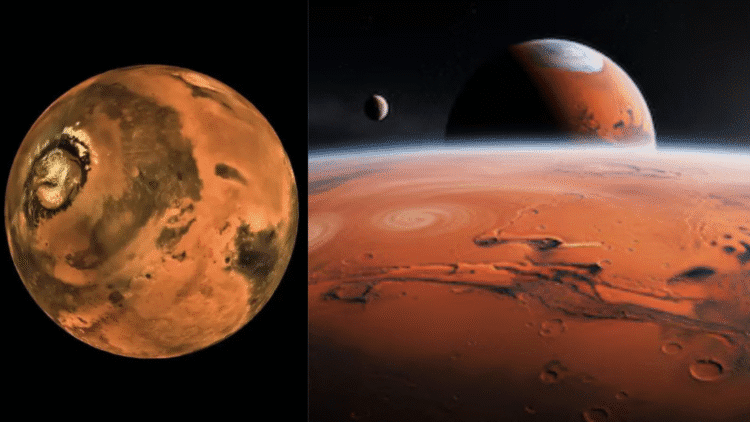 Untitled design 2025 11 06t143659.964