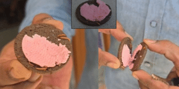 Untitled design 2025 11 10T171103.828