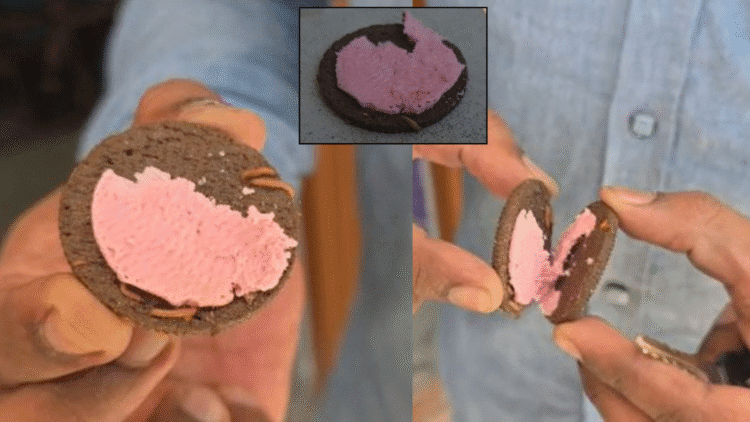 Untitled design 2025 11 10T171103.828