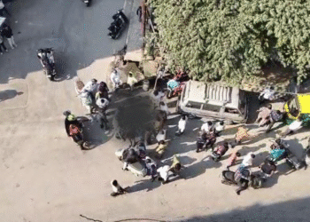 Untitled design 2025 11 10T181632.640