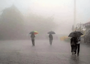 Untitled design 2025 11 11T091725.867