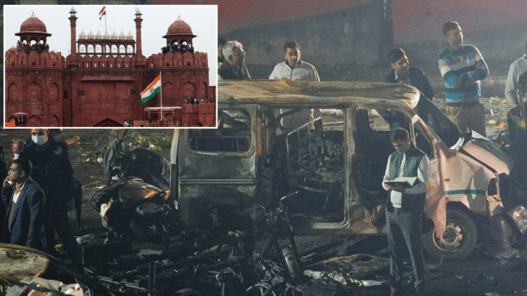 Untitled design 2025 11 11T113232.828