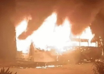 Untitled design 2025 11 11T121059.968