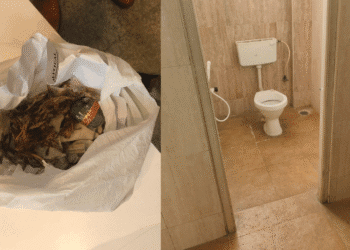 Untitled design 2025 11 11T124452.833