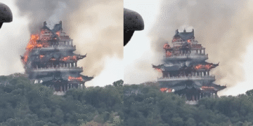 Untitled design 2025 11 13T161817.056