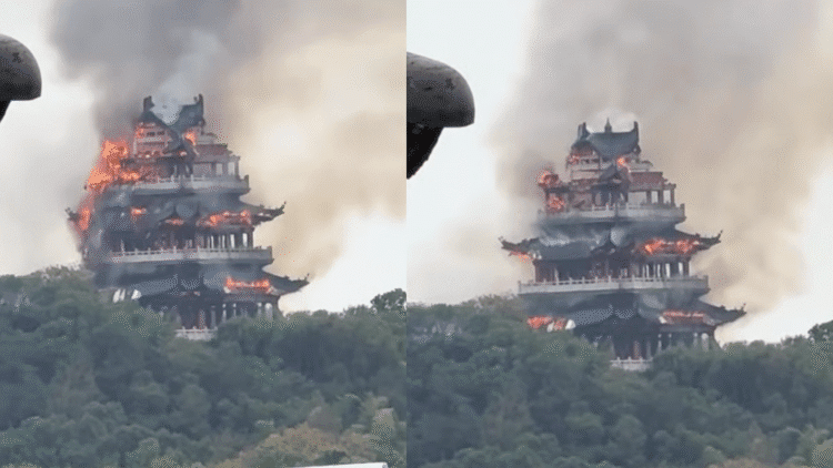 Untitled design 2025 11 13T161817.056