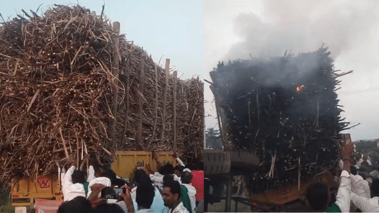 Untitled design 2025 11 13T181307.116