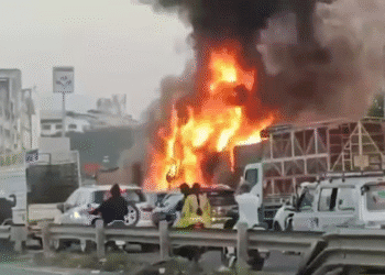 Untitled design 2025 11 13T210406.431