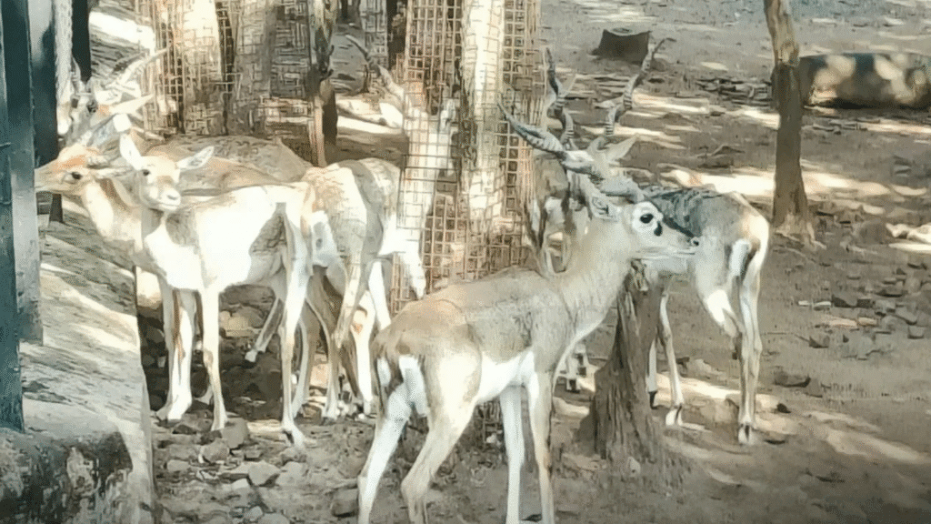 Untitled design 2025 11 16T233000.998