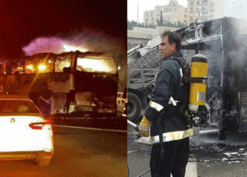 Untitled design 2025 11 19T120832.465