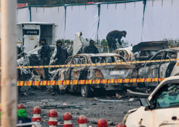 Untitled design 2025 11 19T141241.718