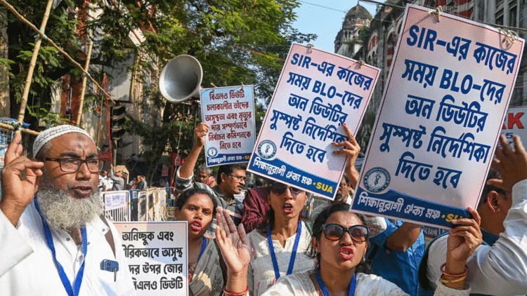 Untitled design 2025 11 19T230532.221