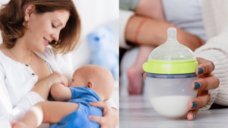 Untitled design 2025 11 23T085005.791