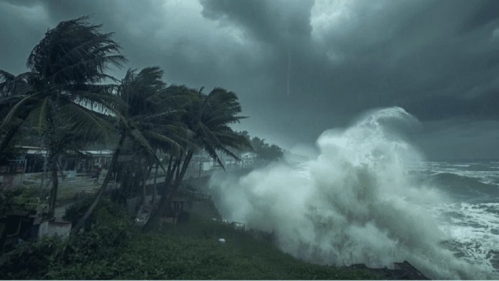 Untitled design 2025 11 27T084150.752