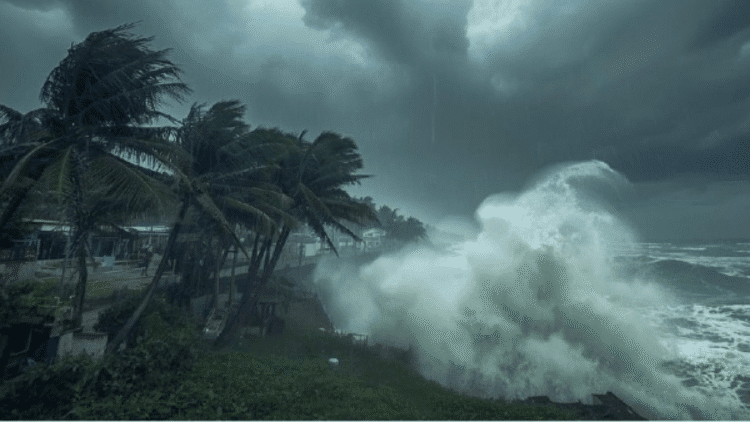 Untitled design 2025 11 27T084150.752