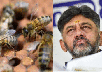 Untitled design 2025 11 29T172537.916