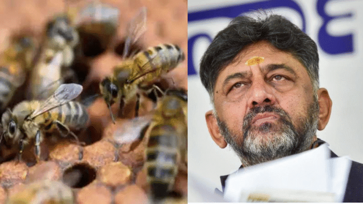 Untitled design 2025 11 29T172537.916