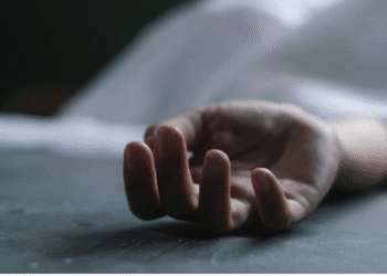 Untitled design 2025 11 29T213824.735