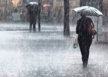 Untitled design 2025 11 30T073800.445