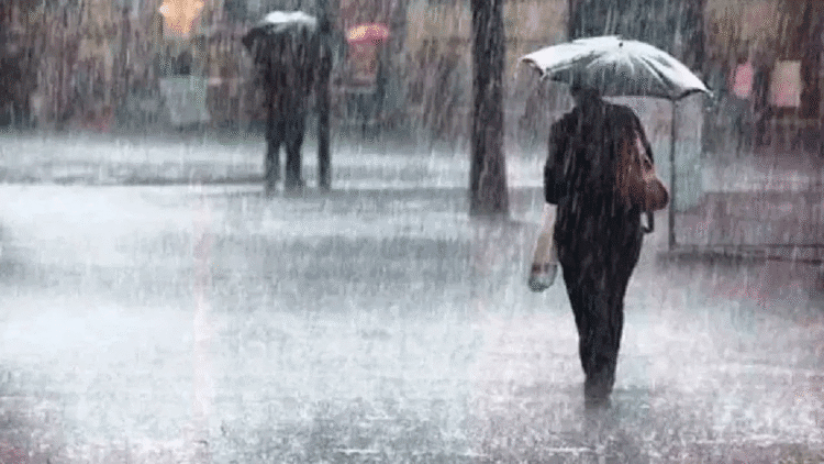 Untitled design 2025 11 30T073800.445