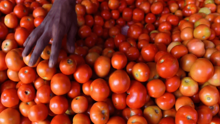 Untitled design 2025 11 30T081622.838