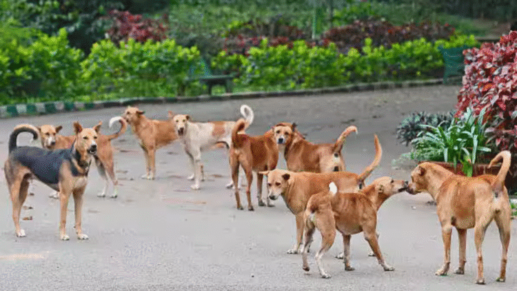 Untitled design 2025 11 30T221732.334