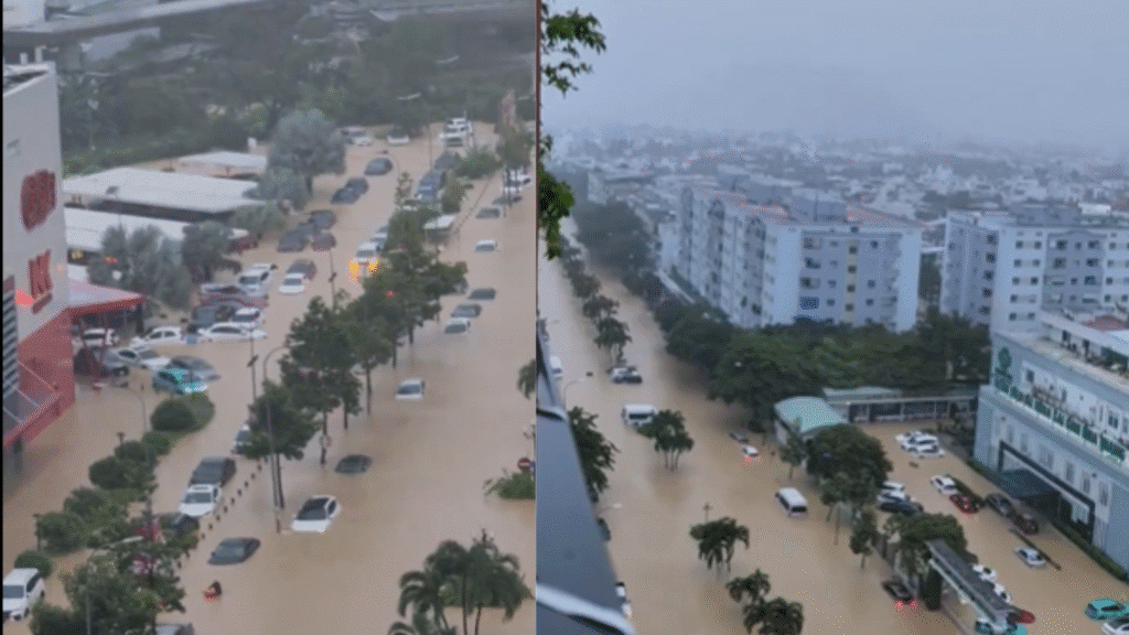 Untitled design (22)