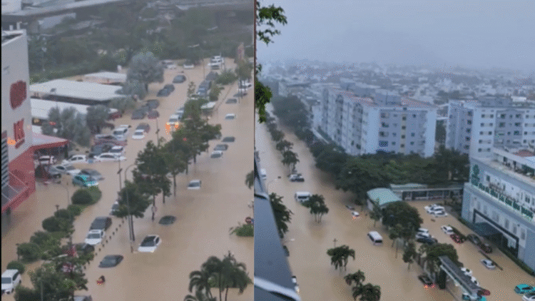 Untitled design (22)