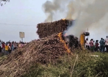 Untitled design (23)